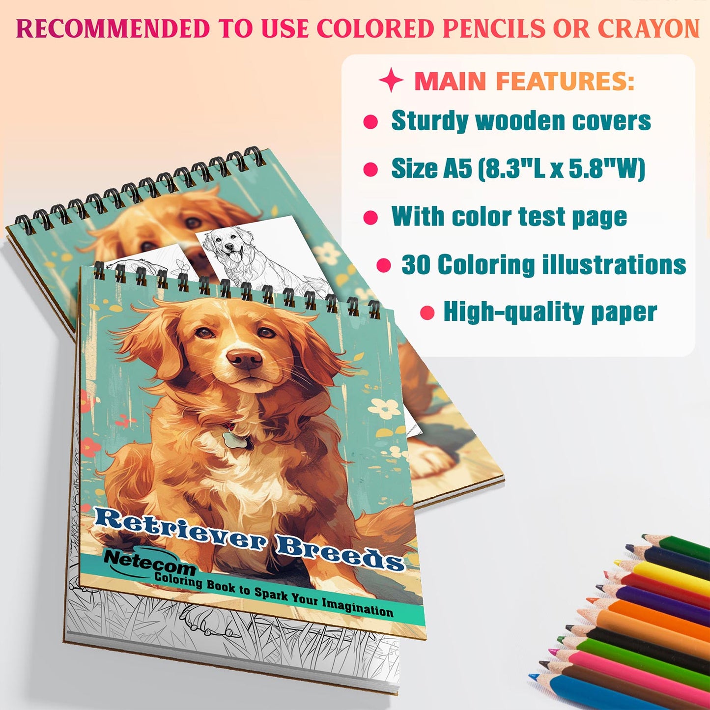 Netecom Retriever Breeds Coloring Sheets For Adults