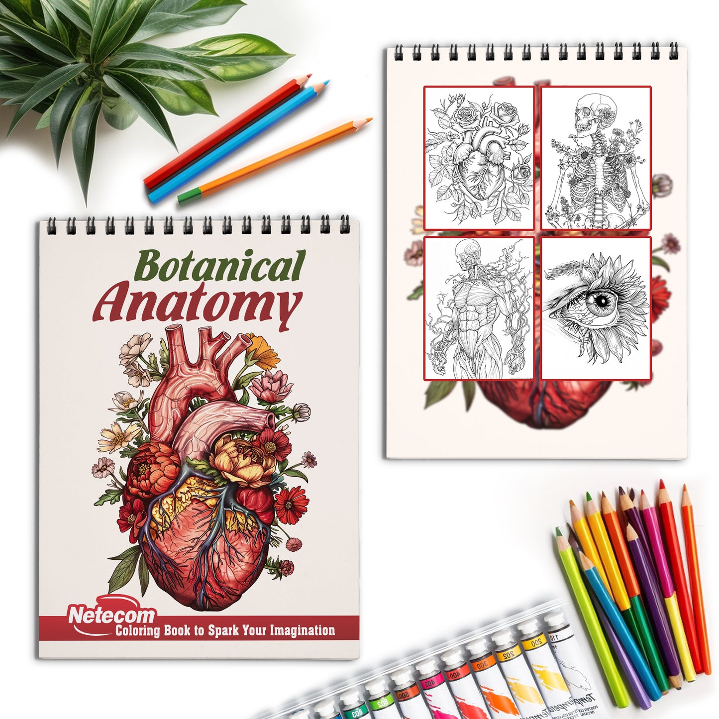 Netecom Botanical Anatomy Coloring Book for Adults, Spiral Bound Edition, Softcover
