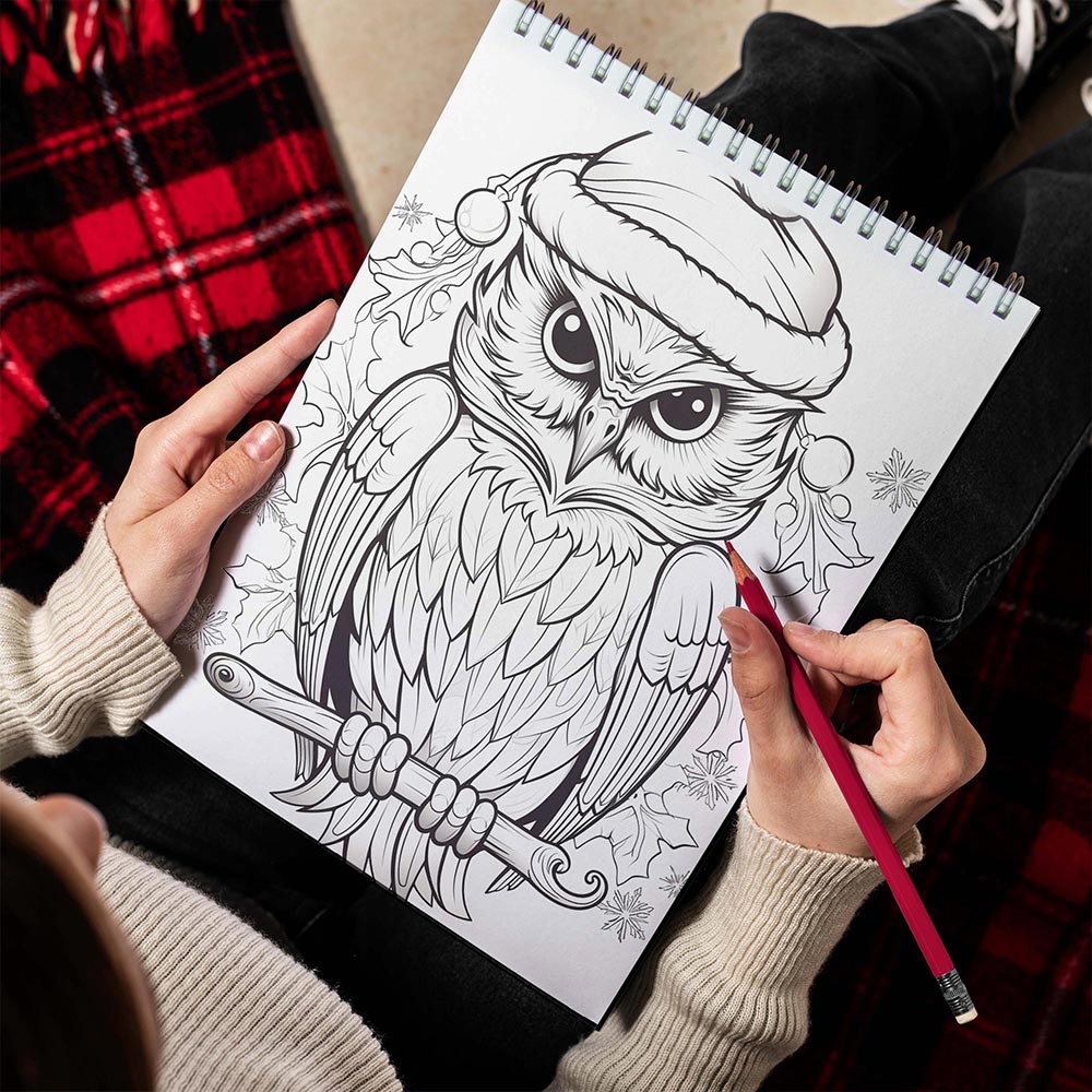 LBKHOUSE Christmas Owls Spiral Bound Coloring Book for Adult