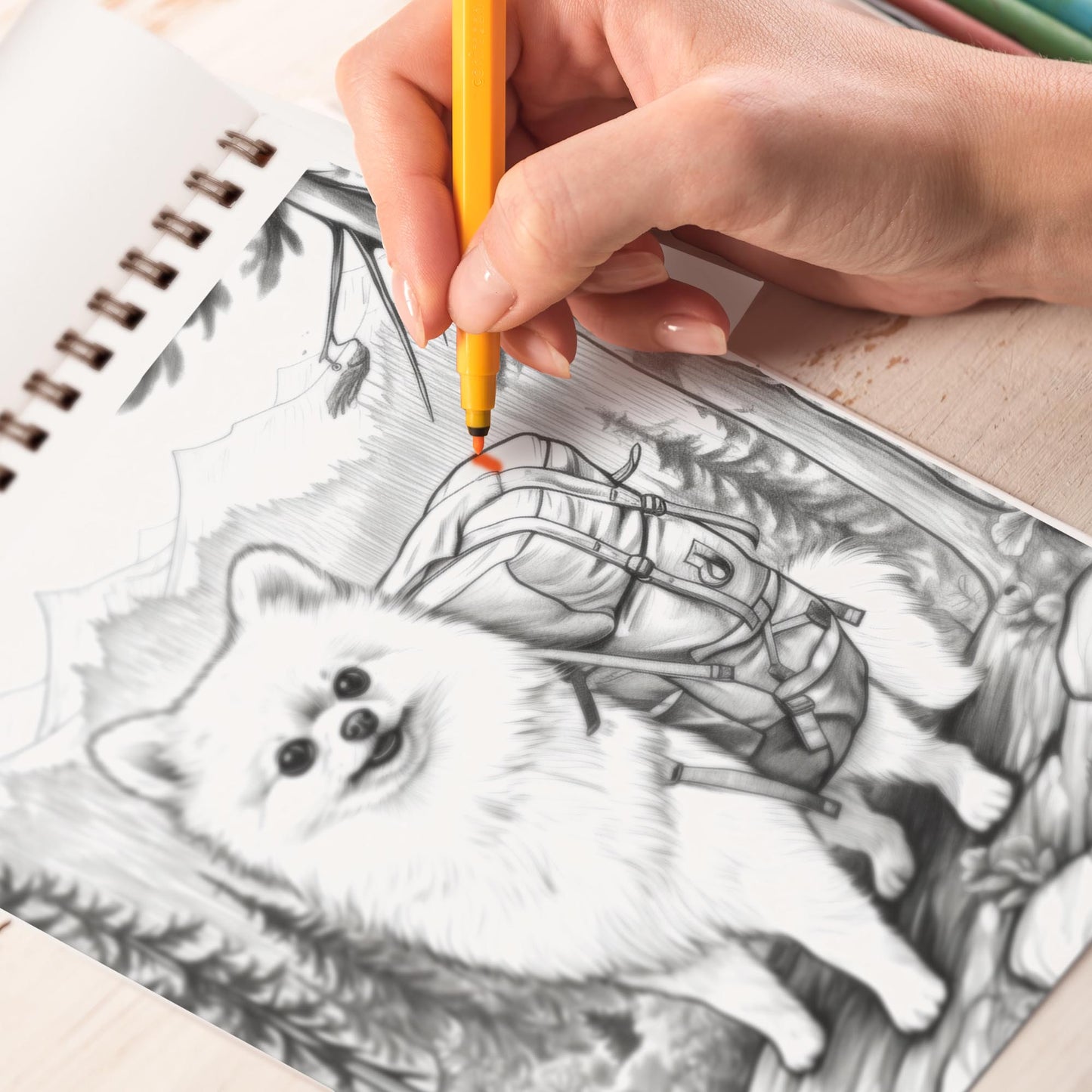 Netecom Journey of Pomeranian Spiral Bound Coloring Book, 30 Charming Pomeranian Coloring Pages for Coloring Enthusiasts to Embrace the Playful Spirit of Pomeranian Companions