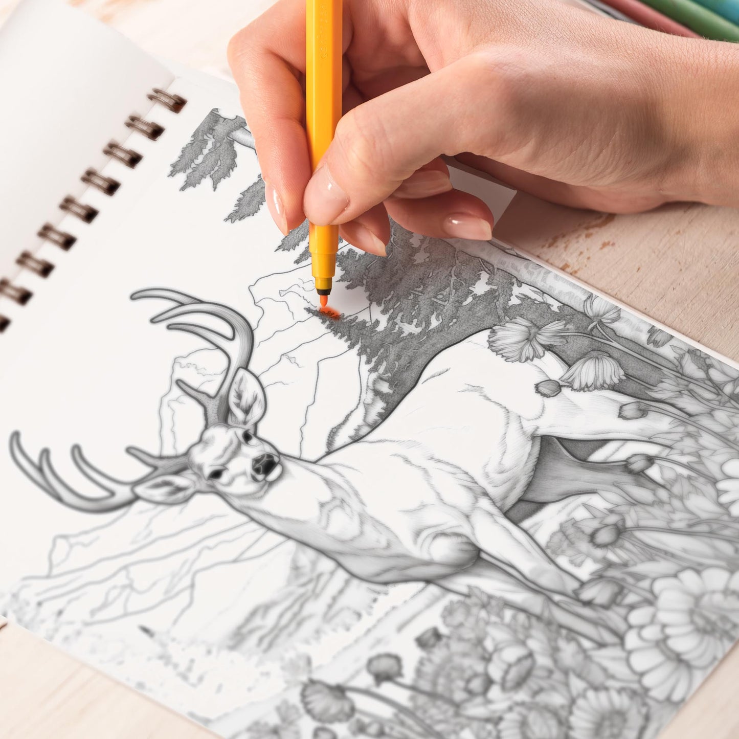 The Grandeur of Nature Spiral Bound Coloring Book, Immerse Yourself in a World of Natural Wonders and Creativity with 30 Captivating Coloring Pages for Nature and Art Lovers to Create Stunning and Imaginative Artwork