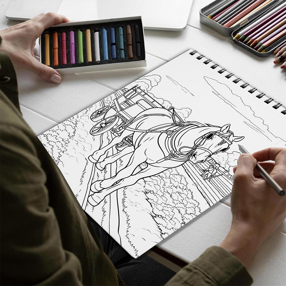 Netecom Country Scenes Spiral Bound Coloring Book for Adults