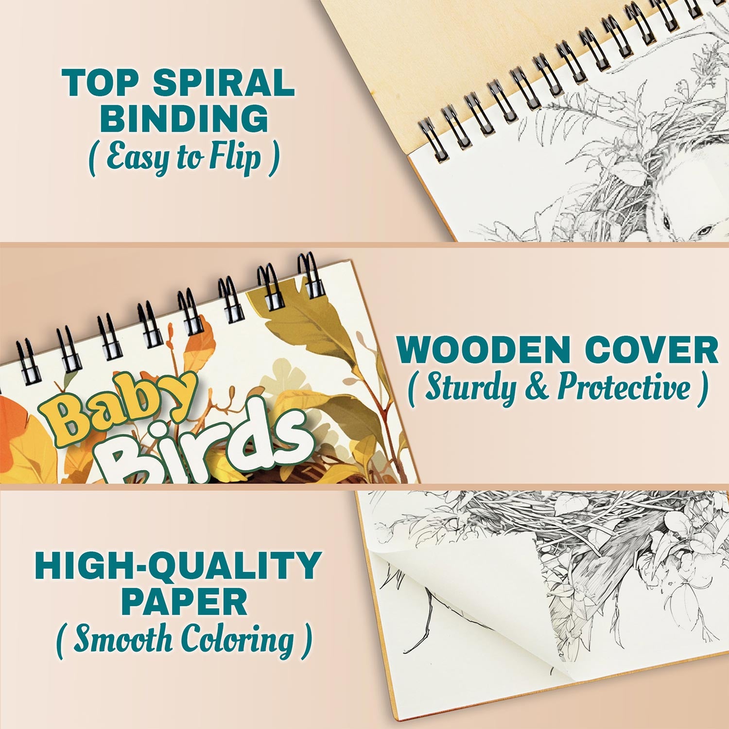 Netecom Baby Birds Coloring Pages For Adults