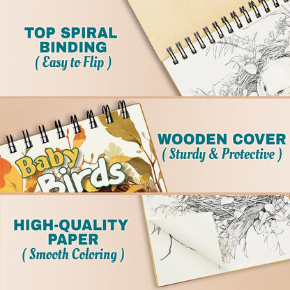 Netecom Baby Birds Coloring Pages For Adults