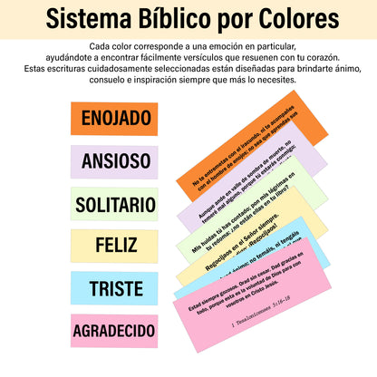 Netecom Spanish Bible Verse Box Set, 150 Daily Scripture Cards, Caja De Versículos De La Biblia, Regalos Cristianos, Gift for Women, Inspiration Christian Gifts