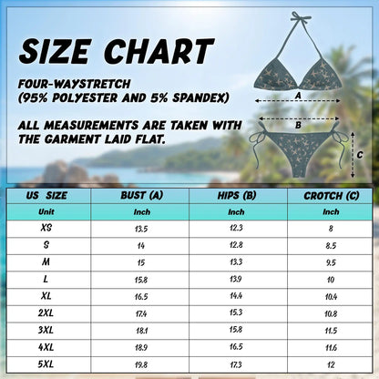 Airplane Print Bikini Set for Women, Two Piece Swimsuit, Aviation Travel Beachwear | Netecom