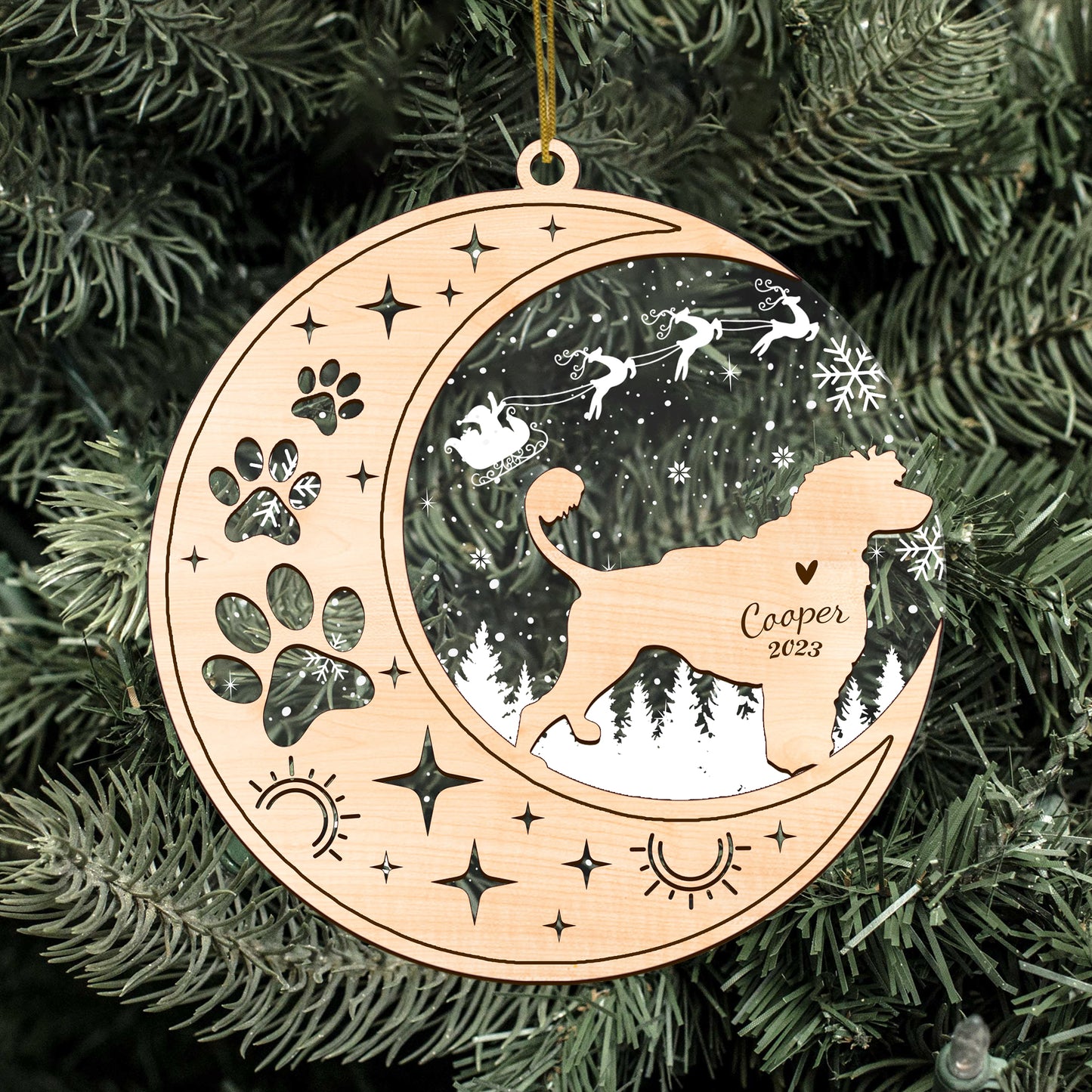 Netecom Portuguese Water Dog Memorial Suncatcher, Personalized Portuguese Water Christmas Ornament, Bereavement Gifts for Loss of Pet, Dog Death Sympathy Gifts Pet Loss Sun Catchers, Dog Grief Gift