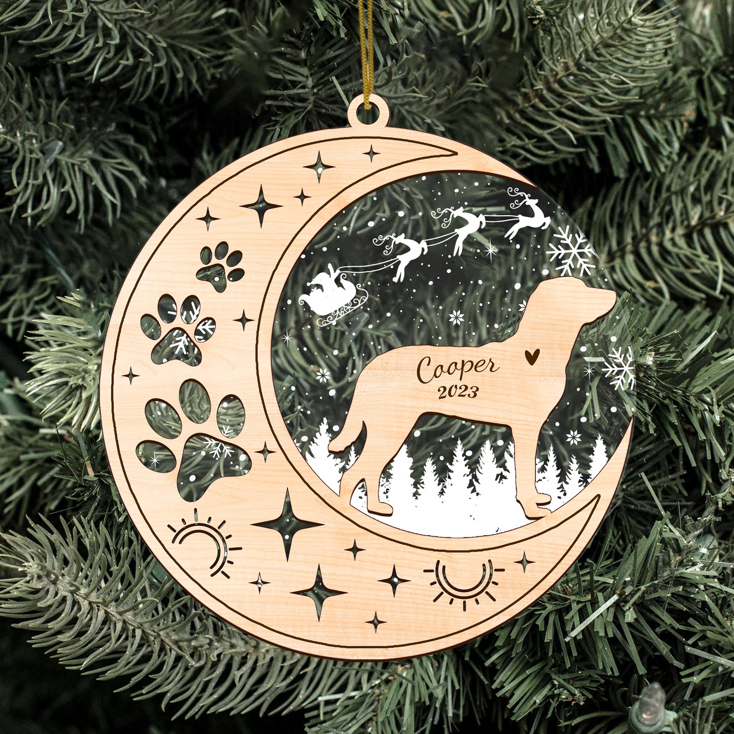 Netecom Chesapeake Bay Retriever Dog Memorial Suncatcher, Personalized Dog Christmas Ornament, Bereavement Gifts for Loss of Pet, Dog Death Sympathy Gifts Pet Loss Sun Catchers, Dog Grief Gift