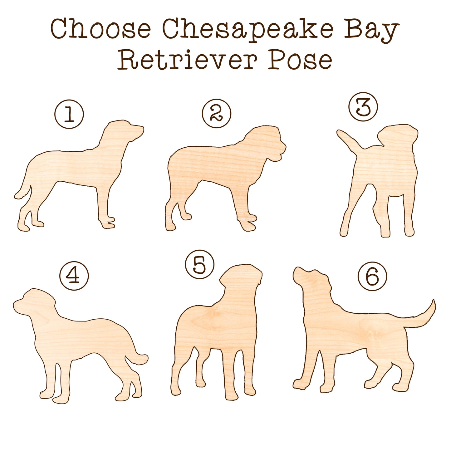 Netecom Chesapeake Bay Retriever Dog Memorial Suncatcher, Personalized Dog Christmas Ornament, Bereavement Gifts for Loss of Pet, Dog Grief Gift, Dog Death Sympathy Gift Pet Loss Sun Catchers