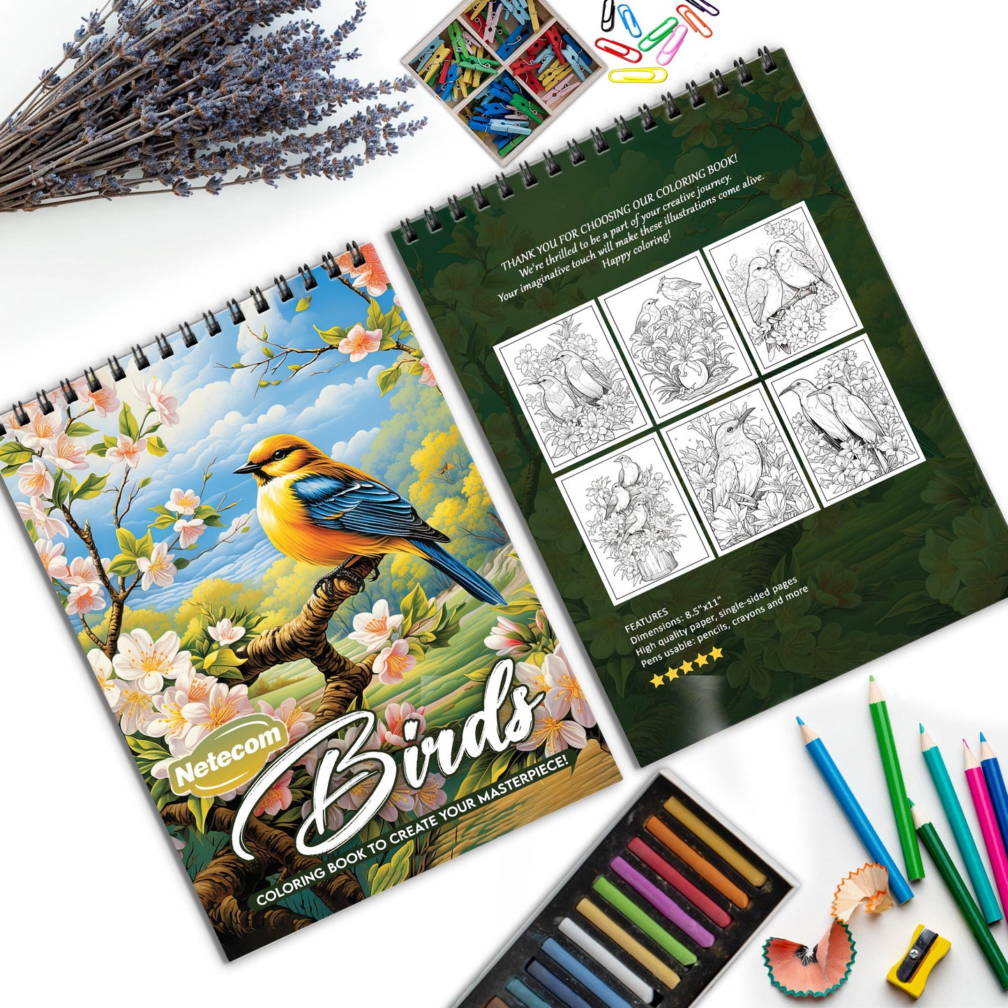 Birds Spiral Bound Coloring Book, Graceful Birds in Artistic Scenes, Ideal for Bird Watchers and Nature Lovers Seeking a Peaceful Art Activity