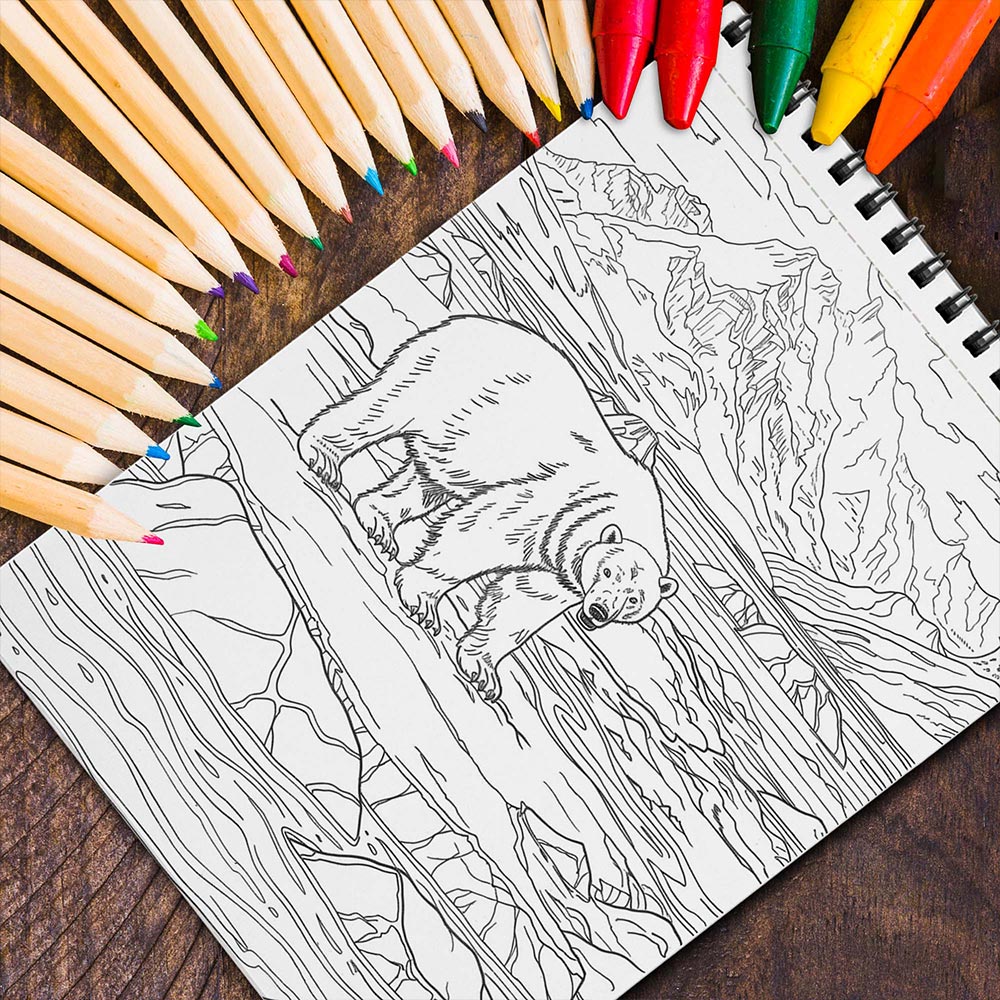 MOTAVYN Polar Landscape Coloring Sheets for Adults