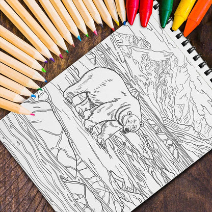 MOTAVYN Polar Landscape Coloring Sheets for Adults