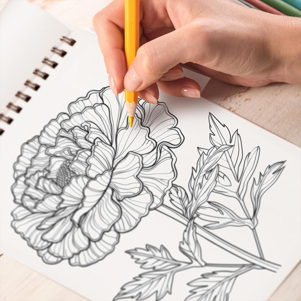 TPLHOUSE Marigold Coloring Book Spiral Bound for Adults