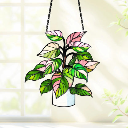 Netecom Philodendron White Princess Starter Plant Acrylic Suncatcher – Faux Stained Glass Window Hanging Decor for Plant Lovers, Rare Live Plant Garden Decor