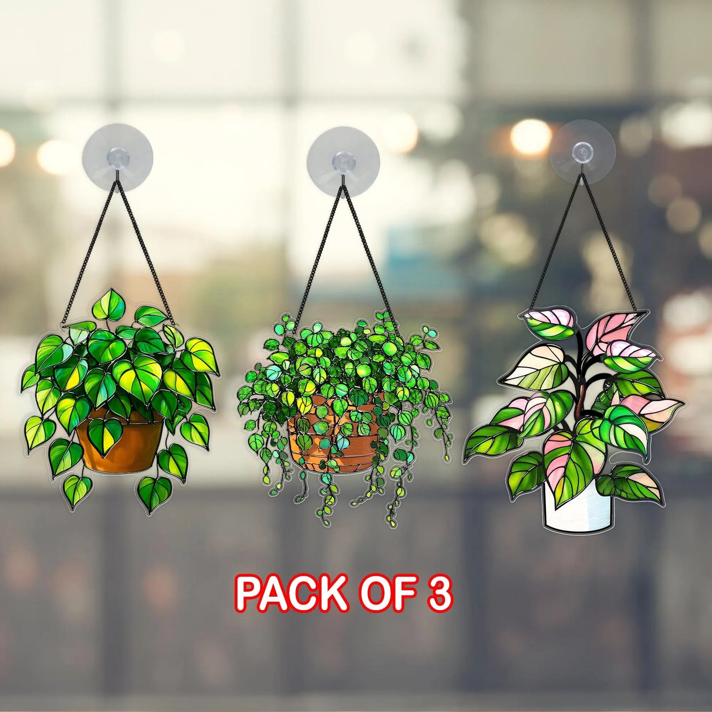 Netecom Pack of 3 Plant Acrylic Suncatchers – Faux Stained Glass Window Hanging, Botanical Home Art Decor, Garden Hanging Decor for Plant Lovers