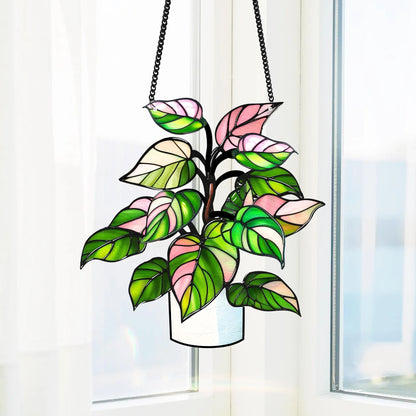 Netecom Philodendron White Princess Starter Plant Acrylic Suncatcher – Faux Stained Glass Window Hanging Decor for Plant Lovers, Rare Live Plant Garden Decor