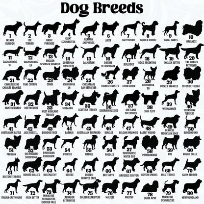 Netecom Personalized Dog Loss Memorial Suncatcher – Custom Pet Passing Sympathy Gift, Pet Name Remembrance Ornament, Window and Car Hanging Decor