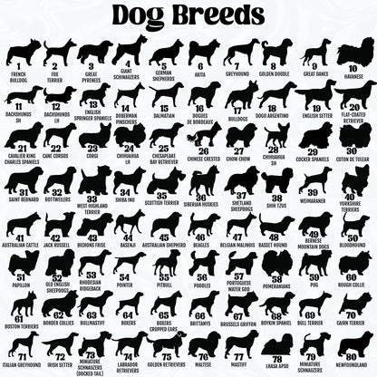 Netecom Dog Memorial Suncatcher – Personalized Pet Loss Sympathy Gift, Rainbow Bridge Pet Ornament, Dog Remembrance Window Hanging, Cat & Dog Memorial Decor